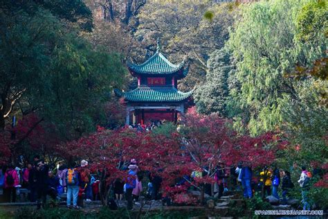 长沙西班牙语学习入门