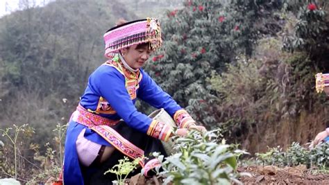 湖南奶茶培训