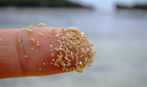 星沙学化妆去哪里好