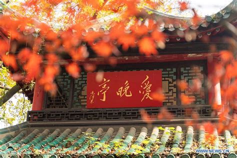 长沙岳麓区英语口语班