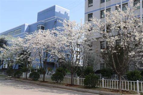 长沙外贸英语口语学习班