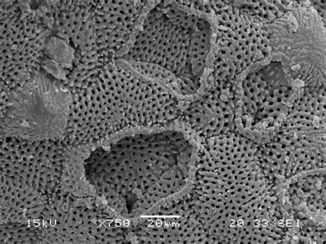 星沙少儿编程培训