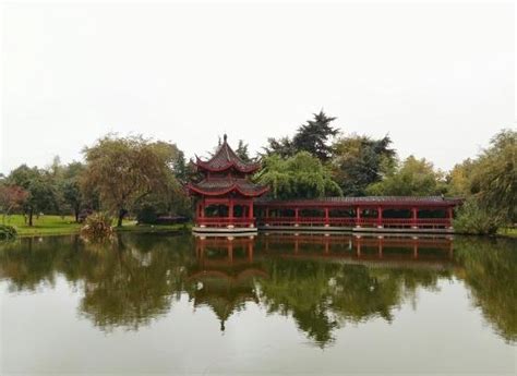 长沙学托福去哪里?
