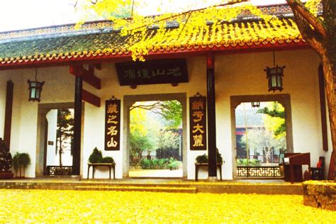 长沙岳麓区如何培训专注力