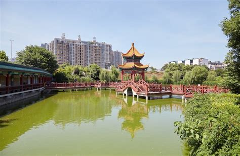 长沙开福区java项目基础培训课程