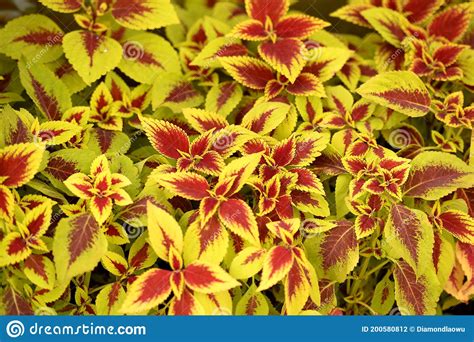 长沙影视剪辑培训学校_火星时代