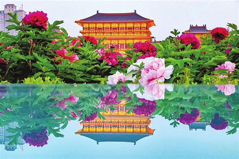洛阳英语六级课程