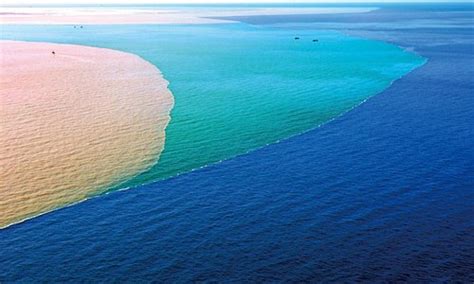 东营高二生物周末学习班 东营高二生物周末辅导