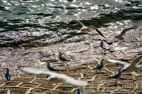 青岛雅思培训寒假班