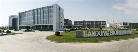 东营MBA辅导机构