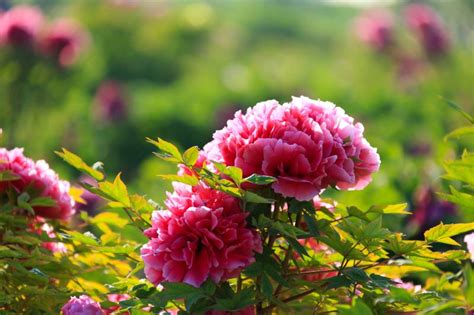 菏泽二级建造师