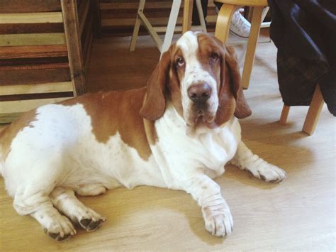 建筑设计艺术留学作品集辅导班_地址_