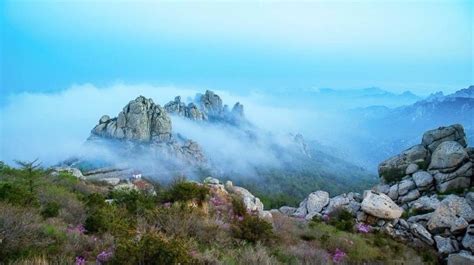 青岛崂山区托福学习班