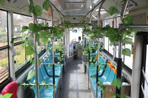 青岛韩式裱花班