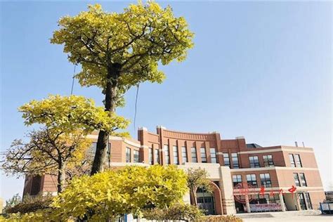 青岛外贸商务英语辅导