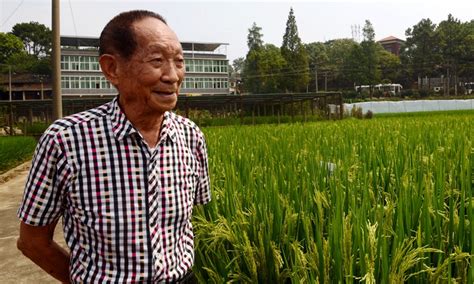 长沙木桶饭技术培训