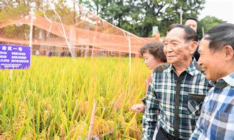 长沙生榨米粉培训