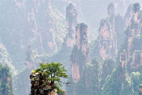 长沙四海小吃培训