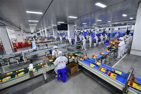 云南螺蛳粉培训多少钱