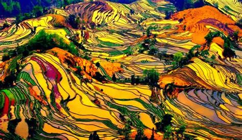 云南大型专业正宗桂林米粉技术培训