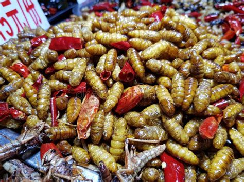 长沙哪里可以学做小吃