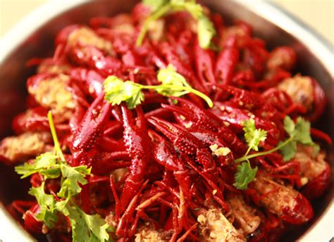 长沙哪里有烹饪厨艺培训