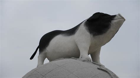 长沙哪里学猪脚饭,隆江猪脚饭培训哪里有