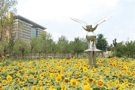 东营二级造价工程师培训机构