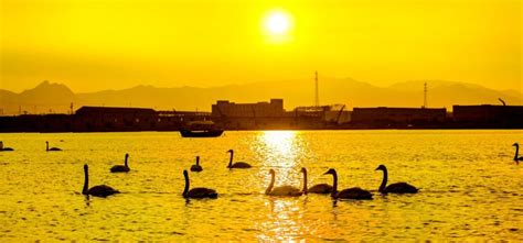 东营经济师培训