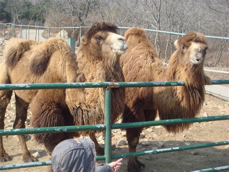青岛十大日语培训班_青岛日语培训学校
