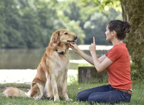 青岛月嫂培训价格是多少