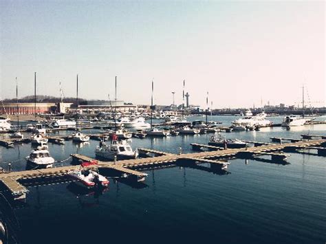 青岛月嫂培训中心,青岛催乳师培训,青岛育婴师培训