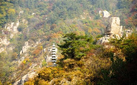 青岛催乳师全能班