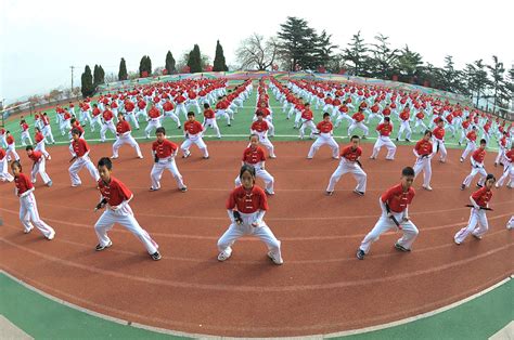 青岛育婴师证考试