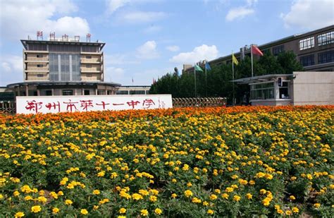 郑州网络教育专升本报名条件