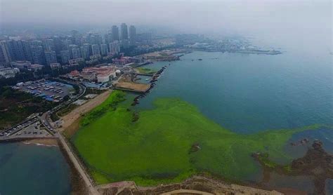 青岛GRE数学培训班学校介绍