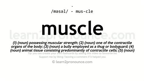 幼儿发音口肌课程