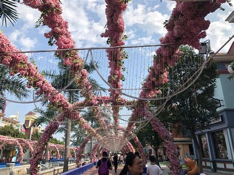 郑州安全工程师考前培训