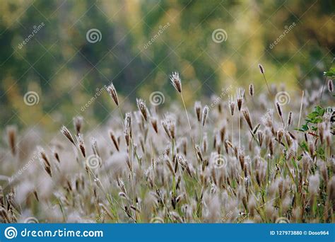 郑州秋季雅思培训班