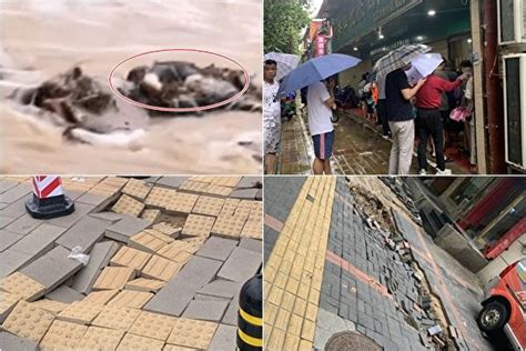 郑州新航道ACT培训