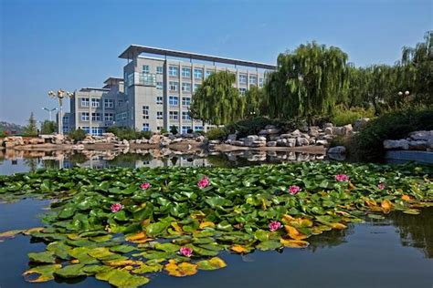 济南职业讲师培训