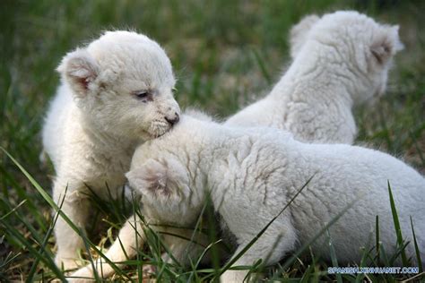 济南Photoshop入门学习班