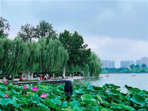 济南历下区一建一对一培训