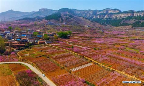 济南桃酥学习多少钱