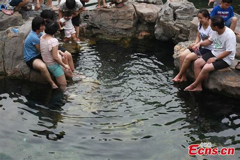 济南春季高考培训哪个好