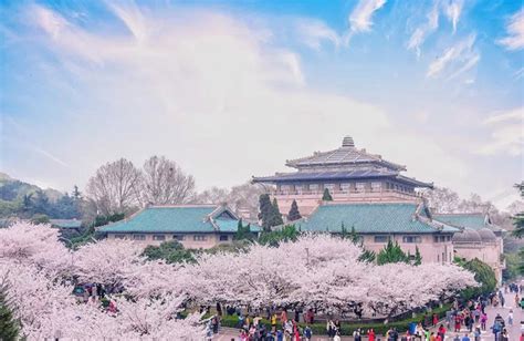 武汉插花培训排名哪家好?