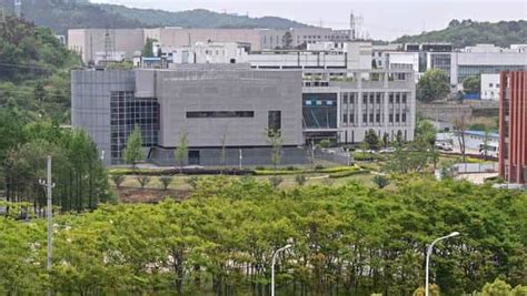 武汉青少儿高级培训机构
