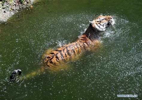 武汉SEM培训哪里好