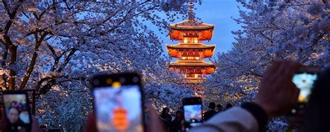 武汉夏令营要多少钱