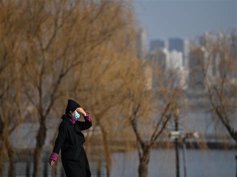 武汉那里有小吃培训